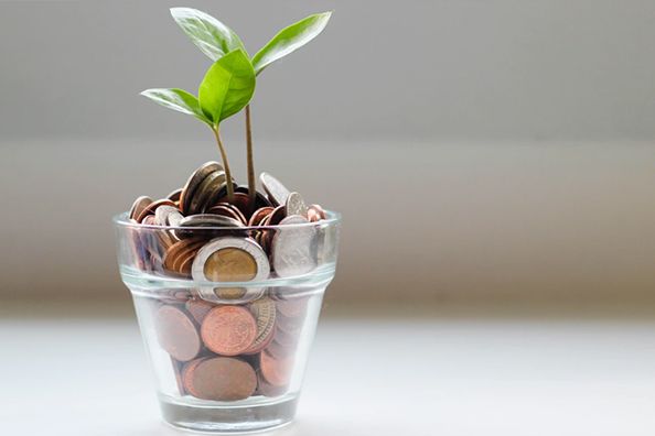 基金投顧業(yè)務(wù)，怎么“顧”？怎么投？