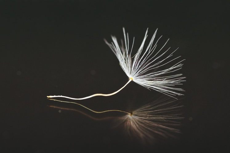 “云南康旅”1900億負債沉重,擬提前兌付全部債券推進重組